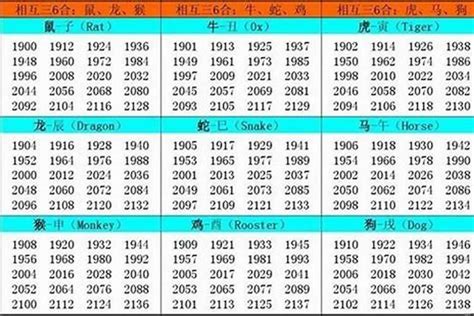 89年五行|1989年出生五行属什么命？是什么生肖？